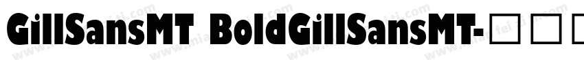 GillSansMT BoldGillSansMT字体转换